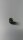 MURR Elektronik - 333734 ADAPTER M12 PLUG 5-pin / M12 SOCKET 3-pin